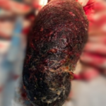 poster_2020-03-03-013031