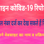 Covid 19 report portal