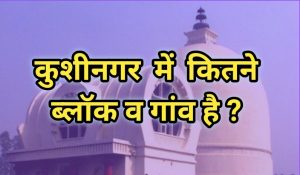 Kushinagar me kitne ganv hai