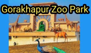 Gorakhapur zoo park