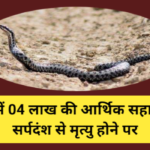 यूपी में 04 लाख की आर्थिक सहायता : सर्पदंश से मृत्यु होने पर