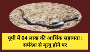 यूपी में 04 लाख की आर्थिक सहायता : सर्पदंश से मृत्यु होने पर