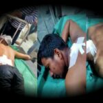 wp-16476725626082360536753471826298