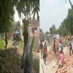 wp-16523490974538505817616823042613