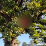 wp-16578748433134944970111833243657