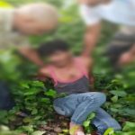 wp-16598575114493750169076484770330