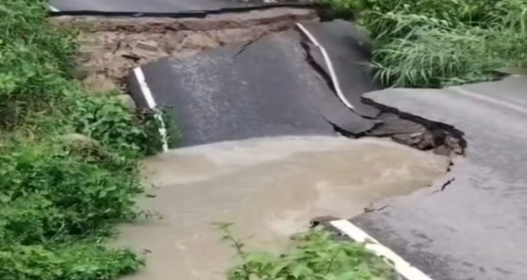 कुशीनगर में पश्चिमी गंडक नहर की पटरी टूटने से बड़ा संकट, सैकड़ों एकड़ फसल जलमग्न और मार्ग बंद