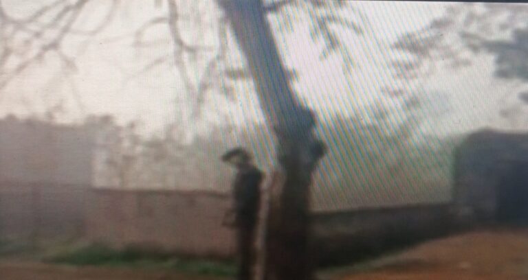 कुशीनगर में सनसनी: 18 वर्षीय युवक का शव पेड़ से लटका मिला, हत्या या आत्महत्या की जांच जारी