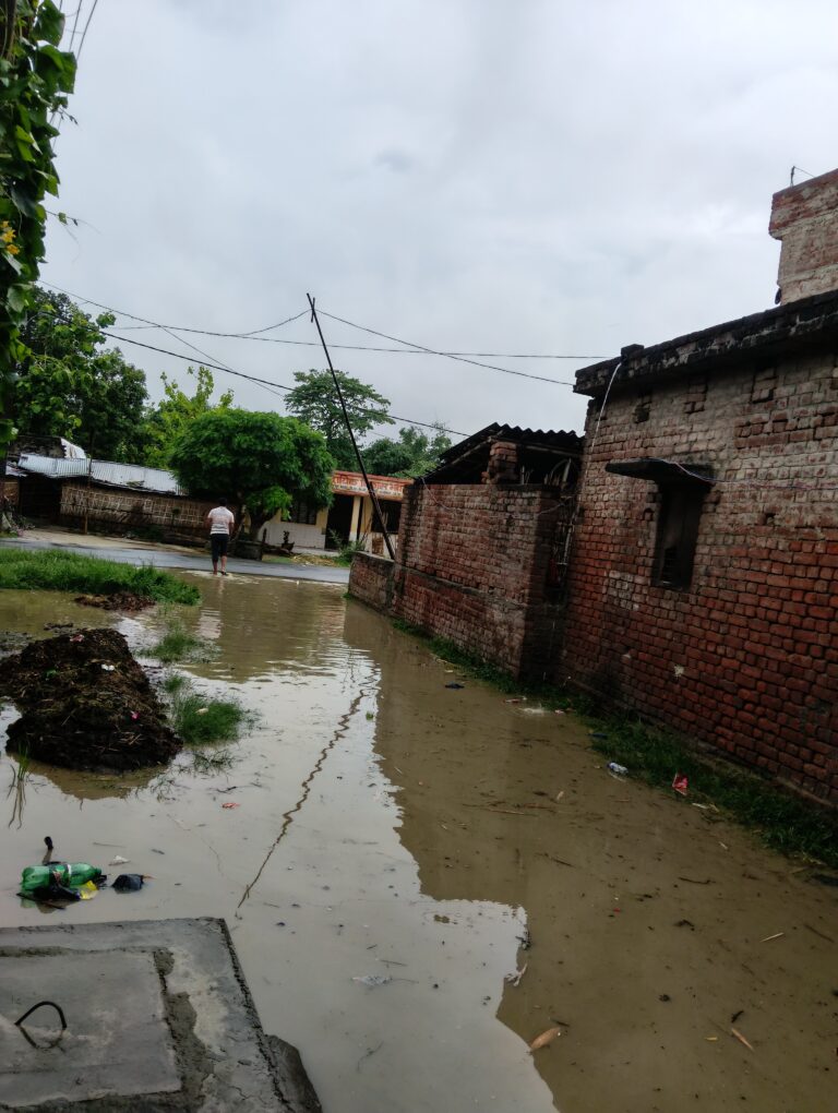 हरपुर माफी के टोला सोभा छपरा में पहली बारिश में जलभराव, ग्रामीणों में बीमारी का डर