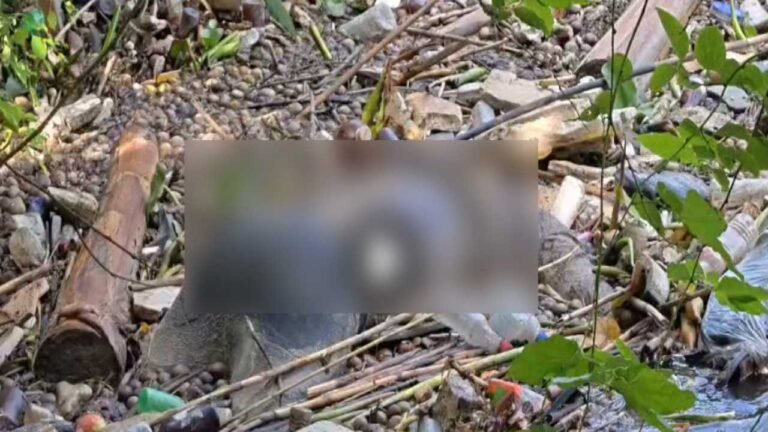 कुशीनगर में 20 वर्षीय युवक अजमत अंसारी का शव ड्रेन में मिला, परिजनों ने लगाया हत्या का आरोप